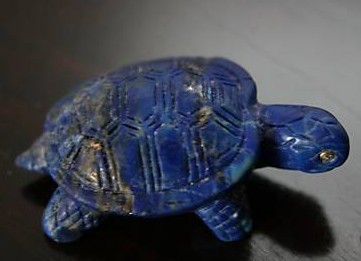 SIMOV-TURTLE